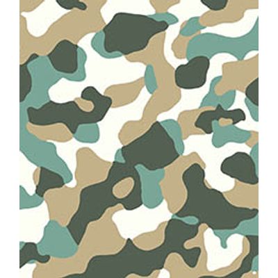 IMAGE_T