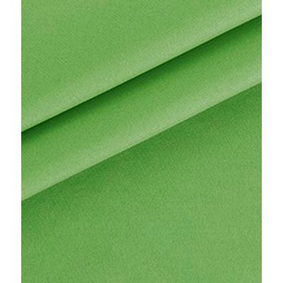 IMAGE_T