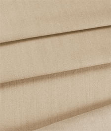 IMAGE_T