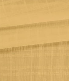 IMAGE_T