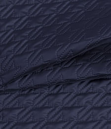 IMAGE_T