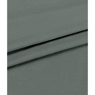 IMAGE_T