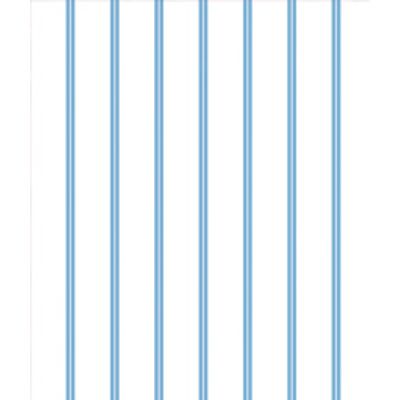 IMAGE_T