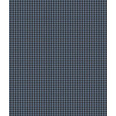 IMAGE_T