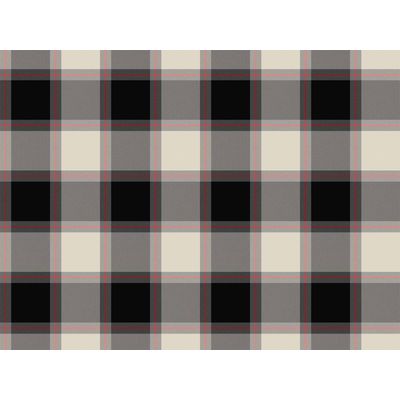 IMAGE_L