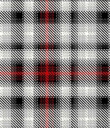 IMAGE_T