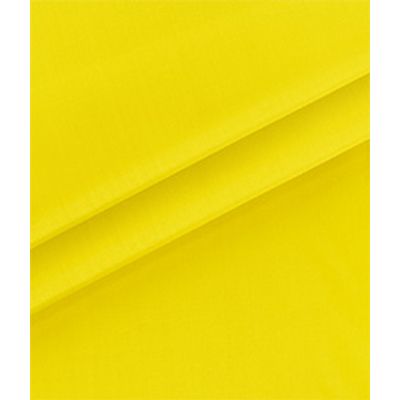IMAGE_T