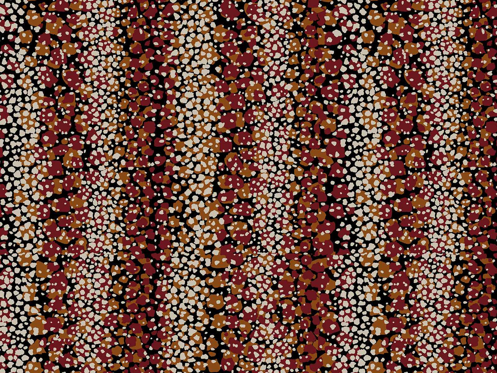 IMAGE_L
