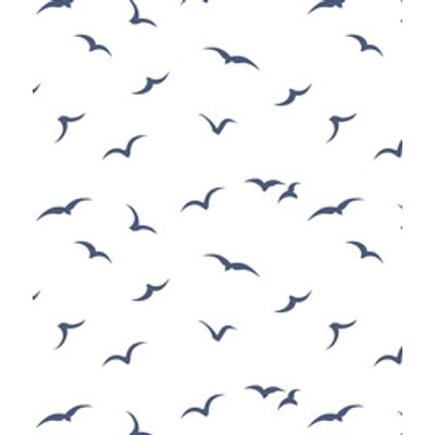 IMAGE_T