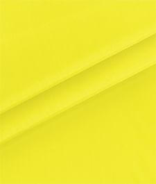 IMAGE_T