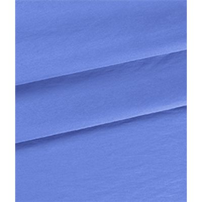 IMAGE_T