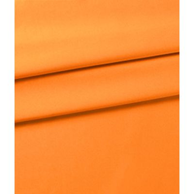 IMAGE_T