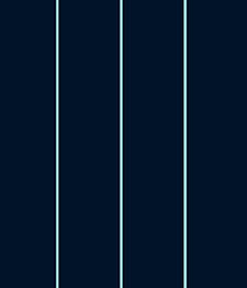 IMAGE_T