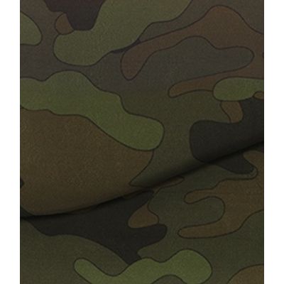 IMAGE_T