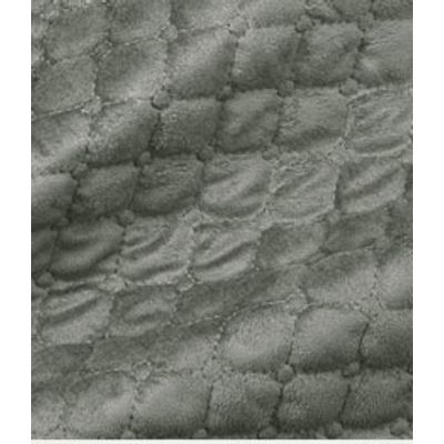 IMAGE_T