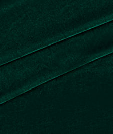 IMAGE_T