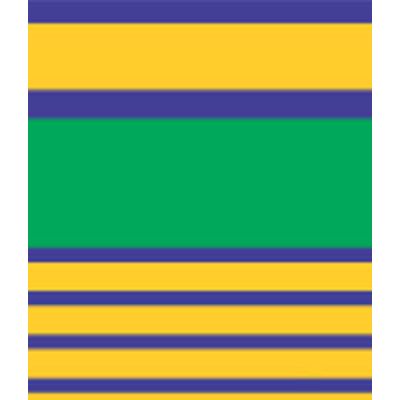 IMAGE_T