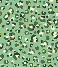 IMAGE_T
