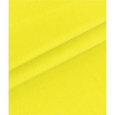 IMAGE_T