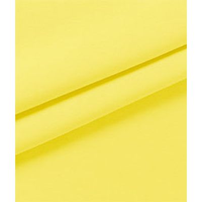 IMAGE_T