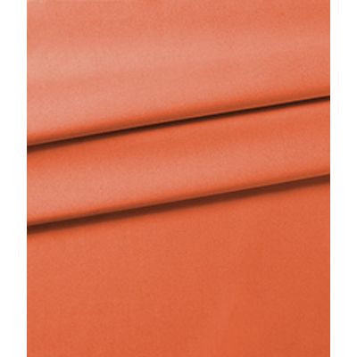 IMAGE_T