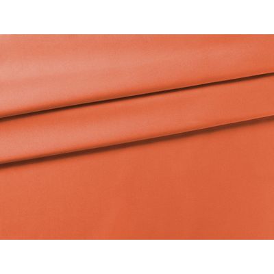 IMAGE_L