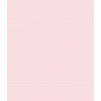 IMAGE_T