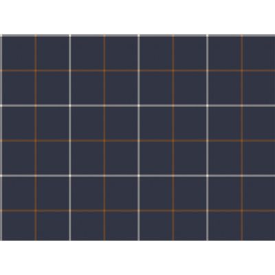 IMAGE_L