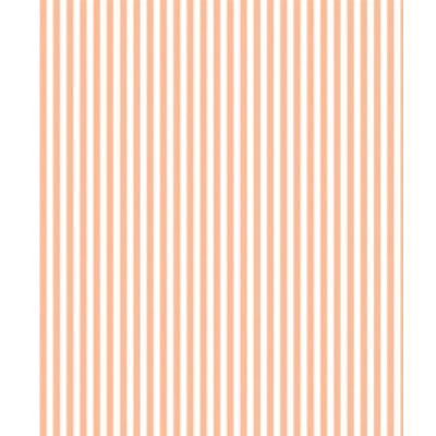 IMAGE_T