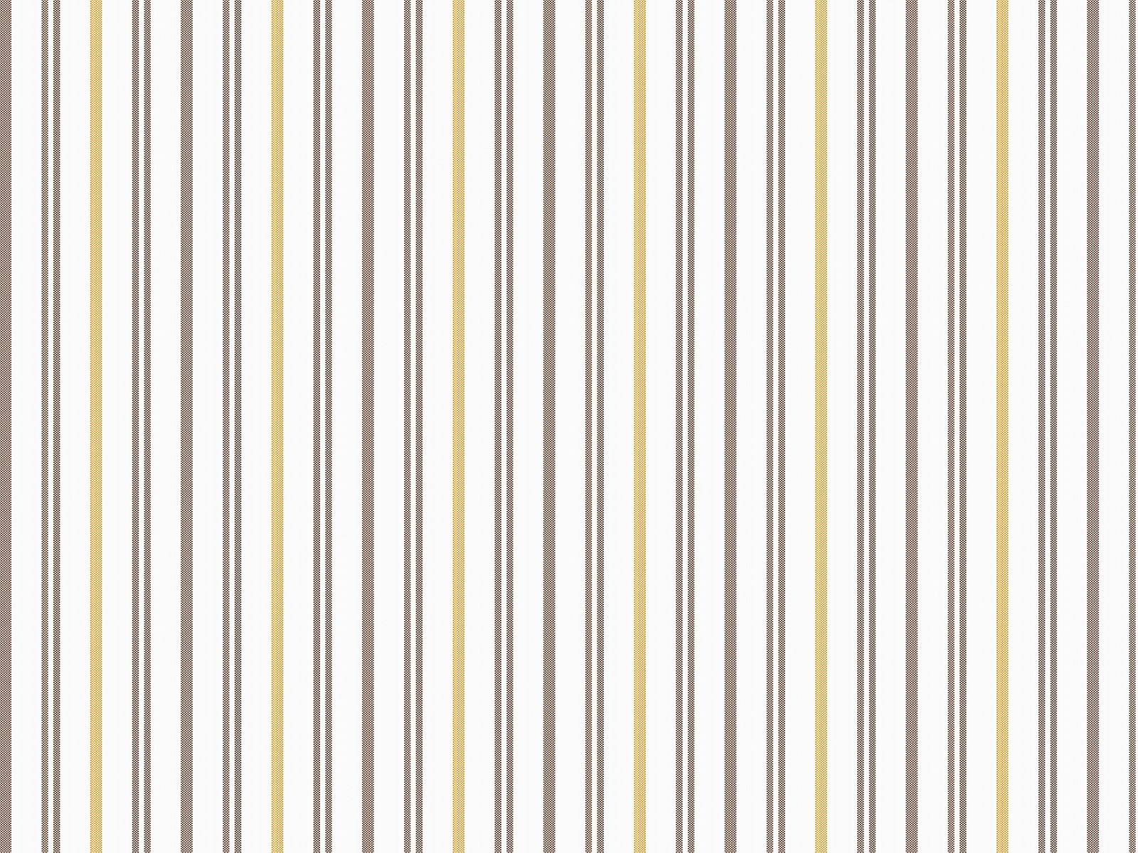 IMAGE_L