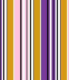 IMAGE_T