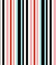 IMAGE_T