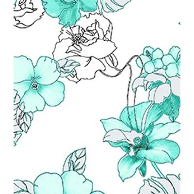 IMAGE_T