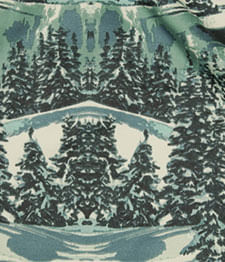 IMAGE_T