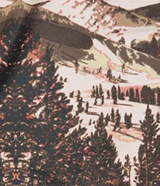 IMAGE_T