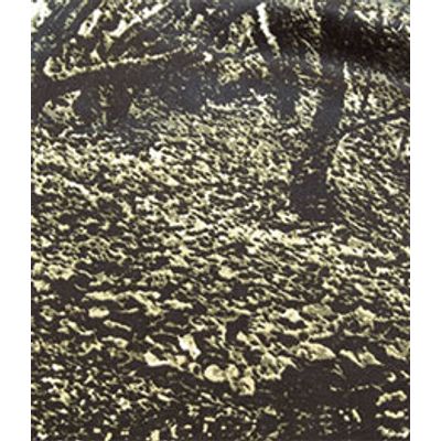 IMAGE_T
