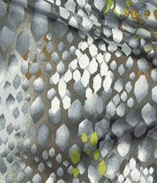 IMAGE_T