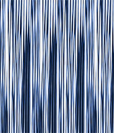 IMAGE_T