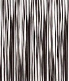 IMAGE_T