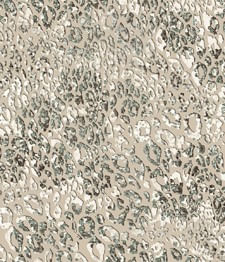 IMAGE_T