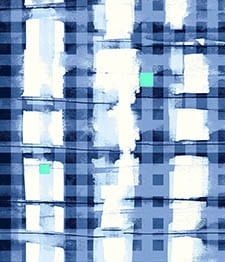 IMAGE_T