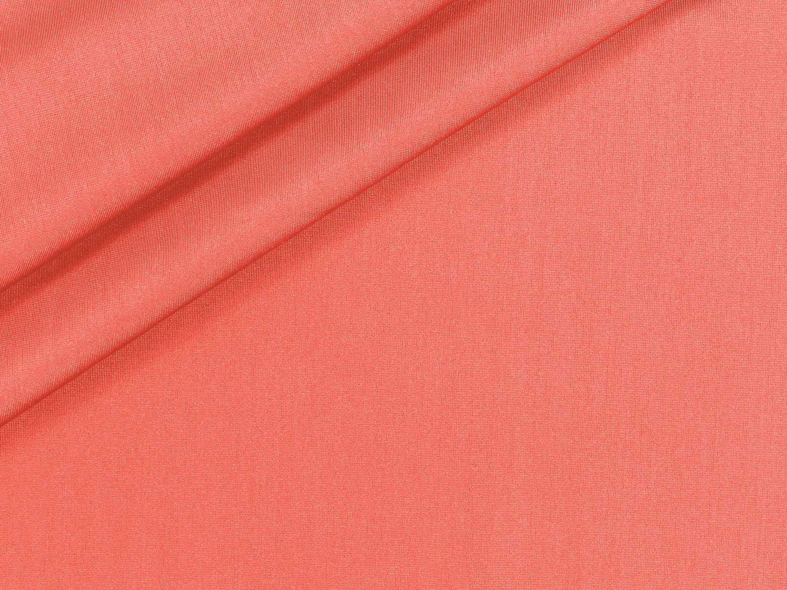 IMAGE_L