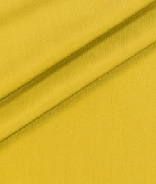 IMAGE_T