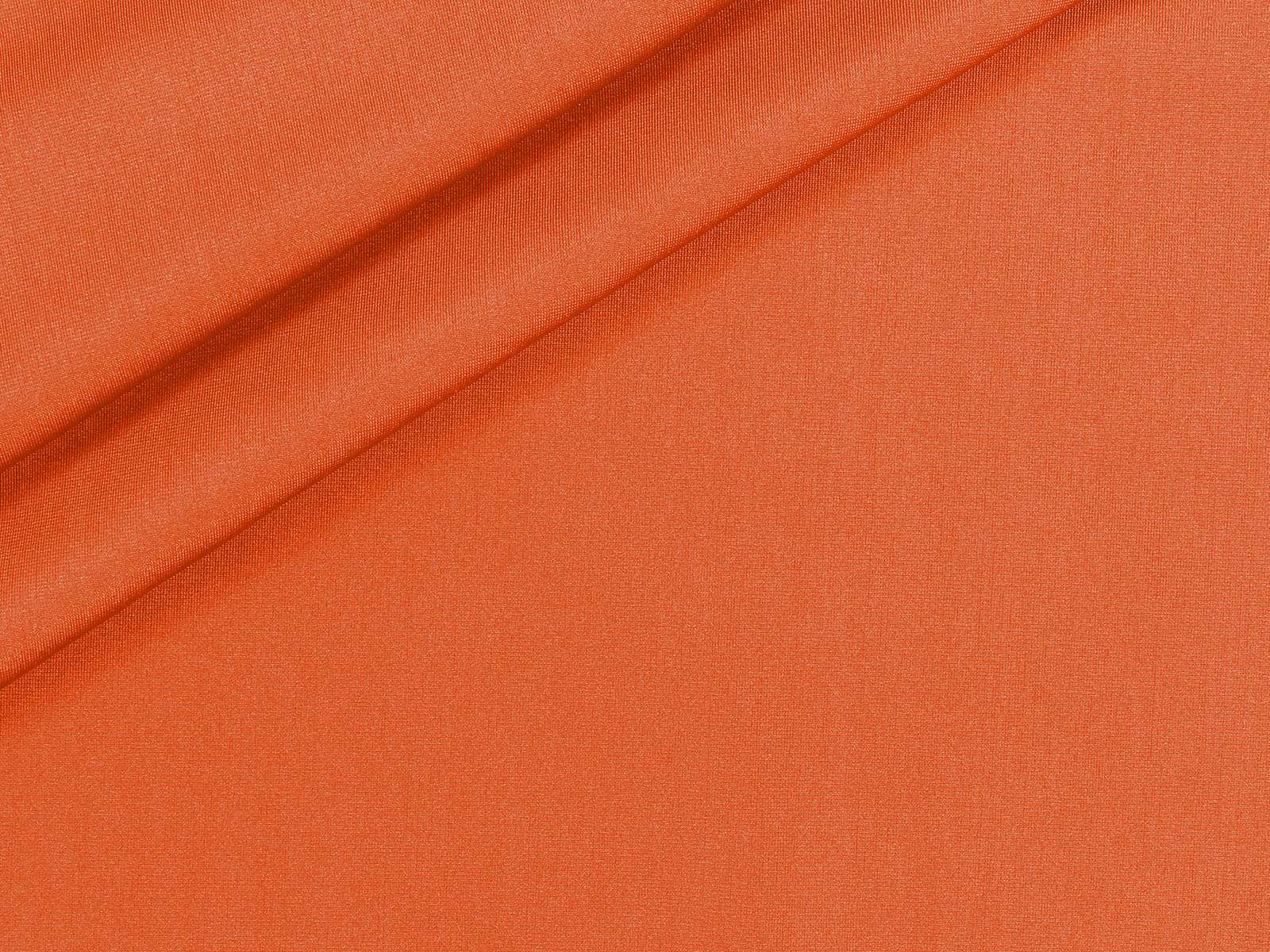 IMAGE_L
