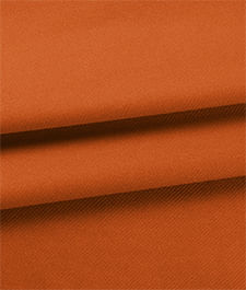 IMAGE_T