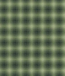 IMAGE_T