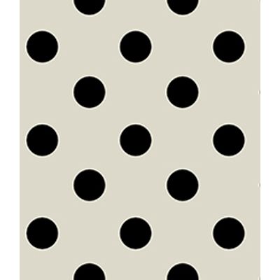 IMAGE_T