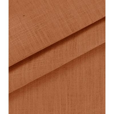 IMAGE_T