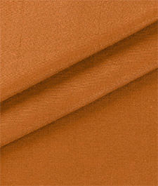 IMAGE_T