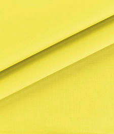 IMAGE_T